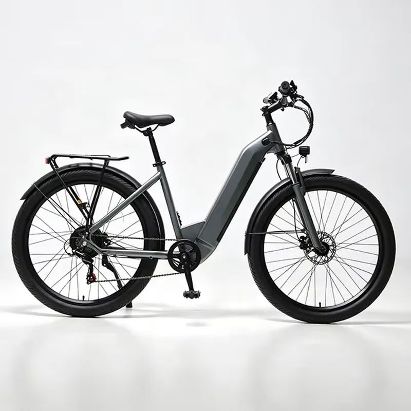 7 Speed 36V 250W Electric Bicy - Cycling Commute Speed 评论和价格