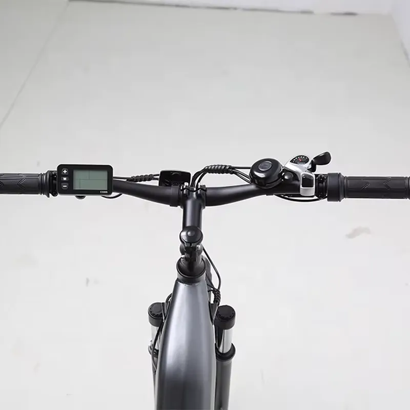 7 Speed 36V 250W Electric Bicy - Cycling Commute Speed 评论和价格