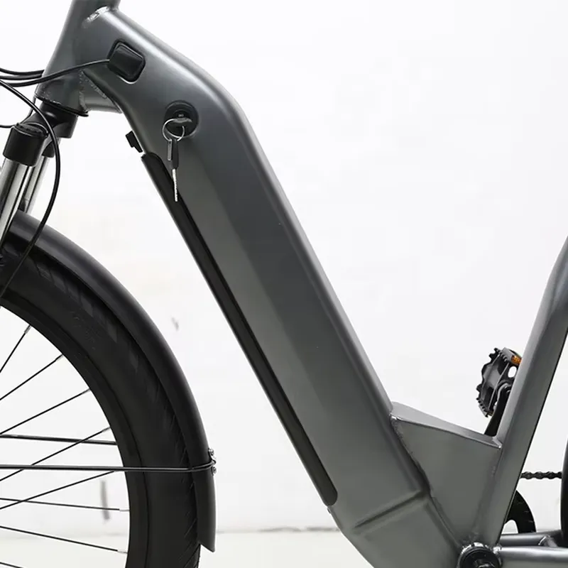 7 Speed 36V 250W Electric Bicy - Cycling Commute Speed 评论和价格